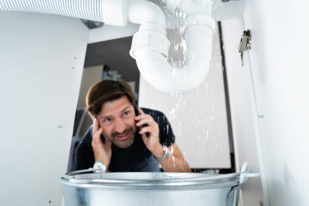 Best Water Leak Repair  in Sullivan, IL